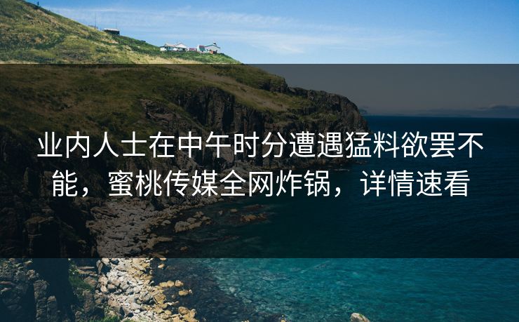 业内人士在中午时分遭遇猛料欲罢不能，蜜桃传媒全网炸锅，详情速看